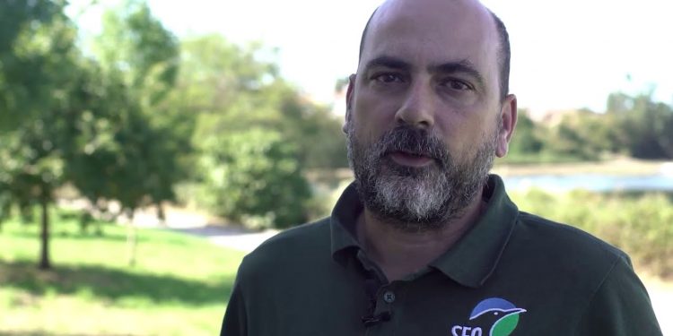 Entrevista Felipe González (SEO Birdlife)