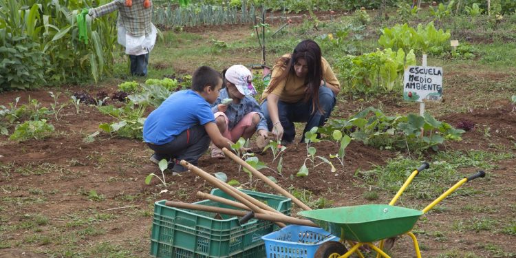 La Escuela de Medio Ambiente de Camargo ofrece ocho actividades educativas para sensibilizar a los estudiantes sobre el patrimonio y el medio ambiente