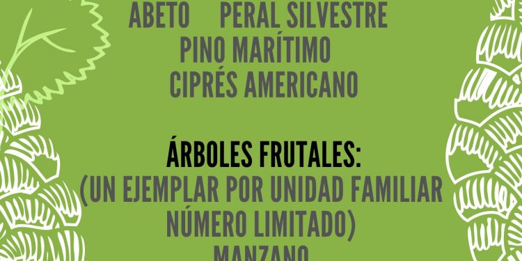 El Ayuntamiento de Suances abre el plazo para la Campaña del Árbol 2025