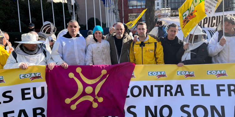 Apicultores europeos exigen medidas urgentes contra el fraude en la importación de miel