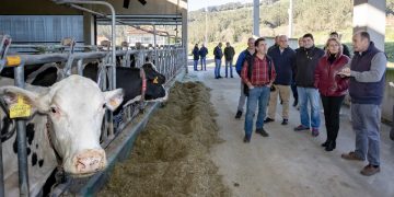 El accidente múltiple ocurrido ayer en la A-67, en Bárcena de Pie de Concha, deja una mujer de 42 años en la UCI