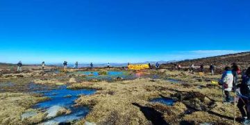 Denuncian la destrucción de humedales en el Polígono Eólico El Escudo con una nueva marcha en Iguña