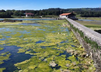El Supremo ratifica la anulación del Plan de Ordenación de las Marismas de Santoña, Victoria y Joyel