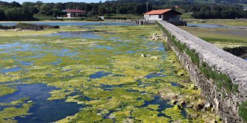 El Supremo ratifica la anulación del Plan de Ordenación de las Marismas de Santoña, Victoria y Joyel