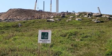 Colectivos Vecinales acusan a la Dirección General de Montes de proteger a la promotora del polígono eólico El Escudo y no a la biodiversidad