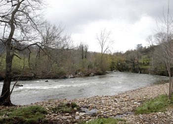 El Gobierno cántabro aprueba las normas de pesca en aguas continentales para 2026