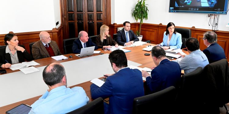 Cementerio Jardín aprueba obras de mejora y un nuevo plan de seguridad en Ciriego