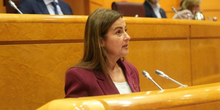 Cantabria reclama en el Senado que el Estado cumpla el 50% de la financiación del sistema de dependencia