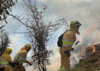Nueve incendios forestales provocados por pirómanos en Cantabria ayer por el viento del sur