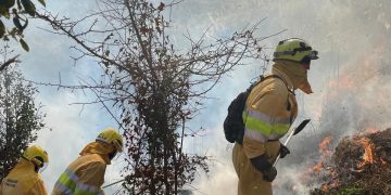 Nueve incendios forestales provocados por pirómanos en Cantabria ayer por el viento del sur