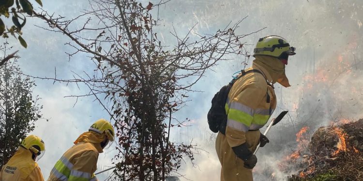 Nueve incendios forestales provocados por pirómanos en Cantabria ayer por el viento del sur