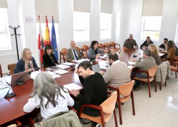 El consejero Silva eleva al Consejo de FP el borrador del IV Plan Estratégico de Formación Profesional para 2027-2030