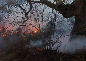 La zona occidental de Cantabria concentra 26 incendios forestales activos tras una noche crítica