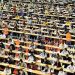 Cantabria abre el plazo para 282 nuevas plazas en la Administración General: la segunda convocatoria de la OEP 2025-2026 ya está en el BOC
