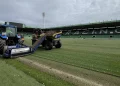 El Racing renueva completamente el césped natural de los Campos de Sport y el Santi Gutiérrez Calle para la temporada en Primera