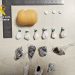 Detenido un joven de 28 años en Castro Urdiales con cocaína, hachís y pastillas preparadas para la venta