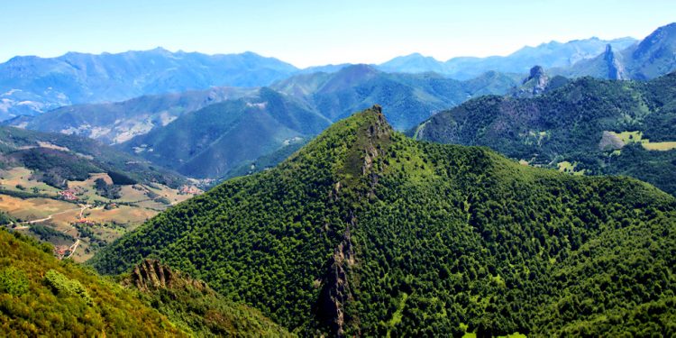 Land Life plantará más de 27.000 árboles autóctonos en Liébana