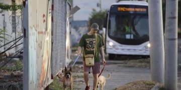 El Gobierno prorroga el complemento del 15% de la Renta Social Básica para 2024