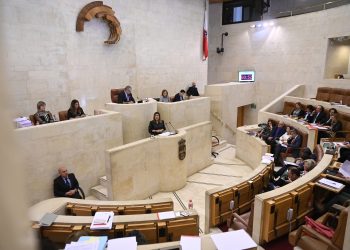 Sanidad, ganadería y educación centran el debate de hoy en el Parlamento de Cantabria