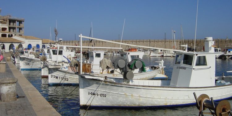 Comienza VADAPES II, un proyecto del IEO que evaluará la capacidad de adaptación del sector pesquero frente al cambio climático