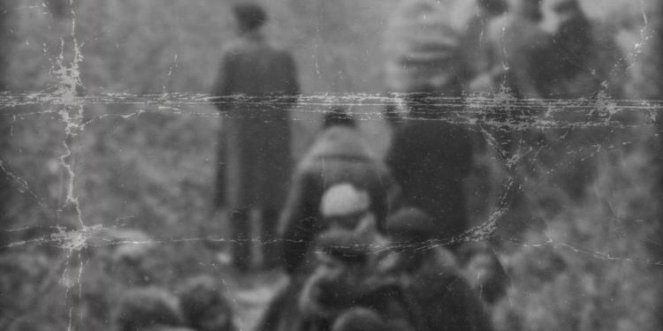 Entrevista Aris Rosino