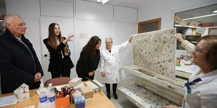 El Gobierno de Cantabria convocará próximamente el grupo de trabajo para desarrollar la Estrategia de Inclusión de las Personas Sin Hogar