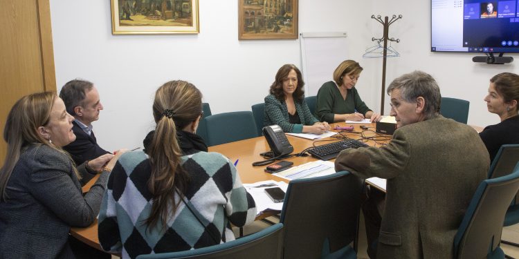 El Gobierno autonómico presenta al Consejo Asesor del Voluntariado de Protección Civil el Plan de formación que supera la veintena de cursos e incluye novedades