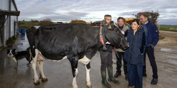 Buruaga reconoce la trayectoria y la apuesta por la innovación de la ganadería SAT Ceceño, propietaria de la vaca campeona de Europa, Llinde Ariel Jordan