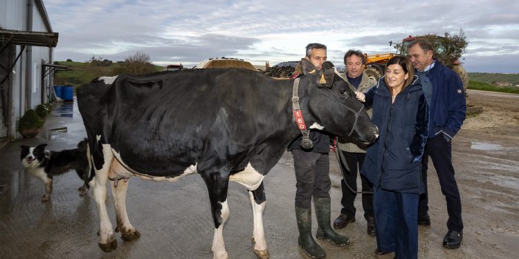 Buruaga reconoce la trayectoria y la apuesta por la innovación de la ganadería SAT Ceceño, propietaria de la vaca campeona de Europa, Llinde Ariel Jordan