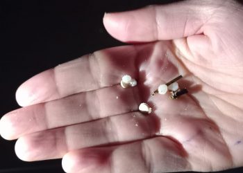 Los pellets llegan a Cantabria