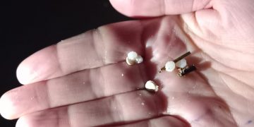 Los pellets llegan a Cantabria