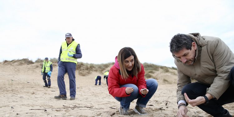 El Gobierno de Cantabria continúa los trabajos de vigilancia y retirada de pellets localizados en 15 playas de Cantabria 