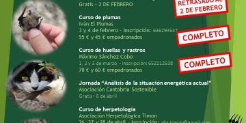 La Concejalía de Medio Ambiente de Reinosa programa una charla-debate sobre «la problemática de los gatos”