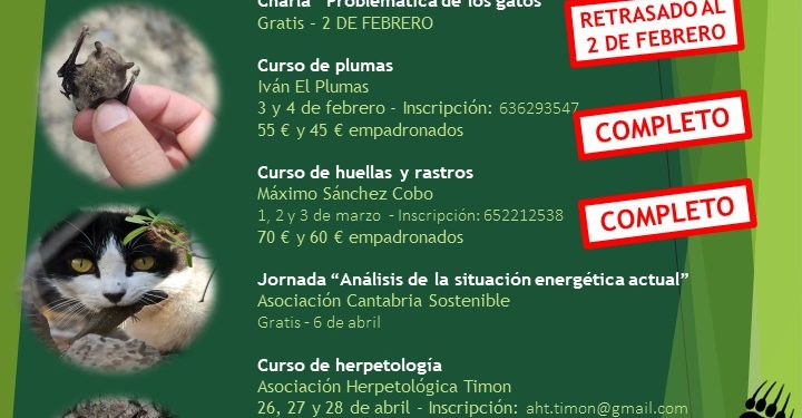 La Concejalía de Medio Ambiente de Reinosa programa una charla-debate sobre «la problemática de los gatos”