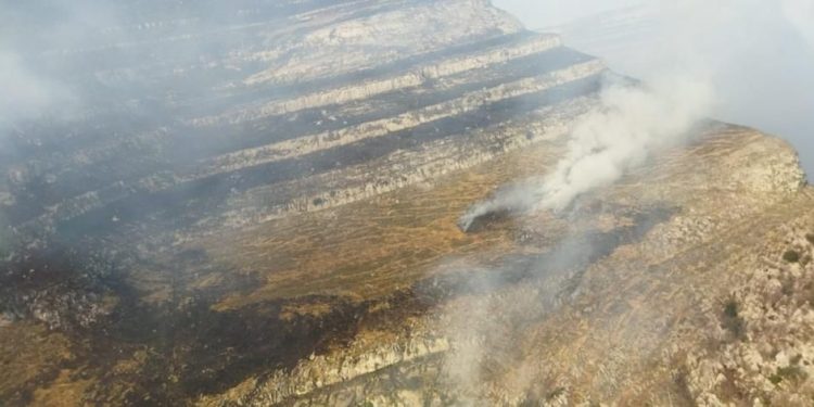 Continúan dos incendios activos se registran actualmente en las localidades de Soba y Arredondo