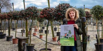 Torrelavega repartirá 4.232 árboles en la campaña ‘Siembra futuro, planta un árbol’