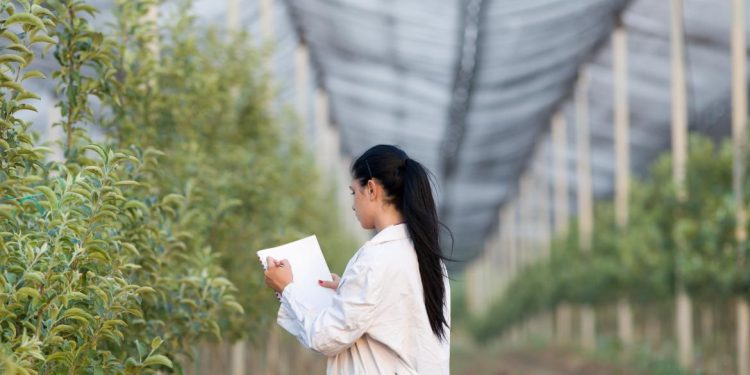 Desarrollo Rural convoca dos becas de formación práctica en investigación y transferencias agrarias para el CIFA