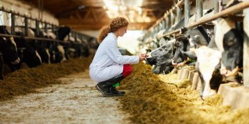 El Gobierno destina 810.000 euros a mejorar el control del rendimiento lechero en la ganadería de vacuno cántabra