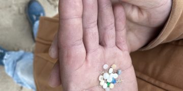 Los operarios de Tragsa ya limpian las playas de Cantabria