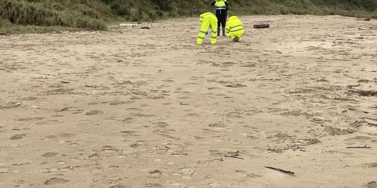 Los operarios de Tragsa ya limpian las playas de Cantabria