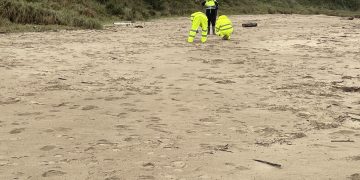 Los operarios de Tragsa ya limpian las playas de Cantabria
