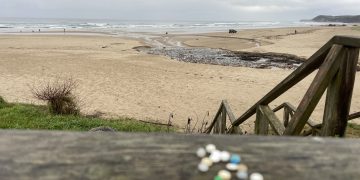 Los operarios de Tragsa ya limpian las playas de Cantabria