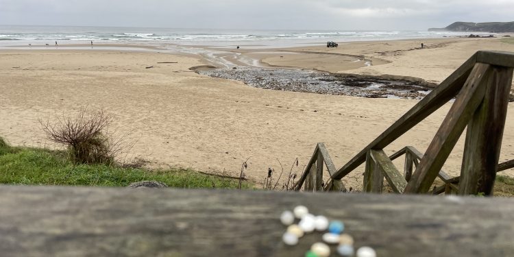 Los operarios de Tragsa ya limpian las playas de Cantabria