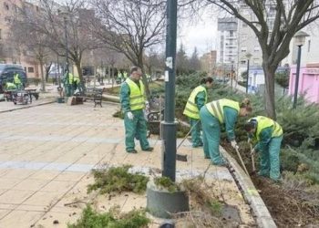Estimado el recurso de la UTE Jardines Santander, que no tendrá que abonar 3,2 millones que el Ayuntamiento le reclamaba por incumplimiento de contrato