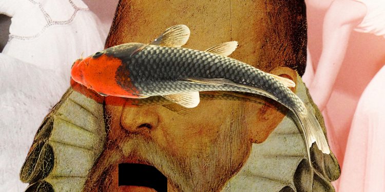 Continúa con éxito el Festival de Invierno de Torrelavega