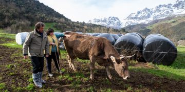 Pablo Palencia compromete su apoyo a la Asociación Raza Parda de Montaña como estrategia para defender el modelo económico basado en la ganadería