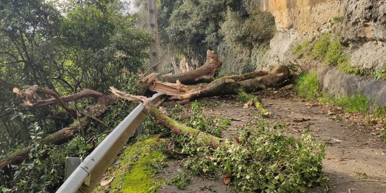 El PSOE Alfoz de Lloredo denuncia “la dejadez” del  Ayuntamiento “que mantiene incomunicados a Lloredo y San Pedro de Rudagüera por un desprendimiento en la carretera