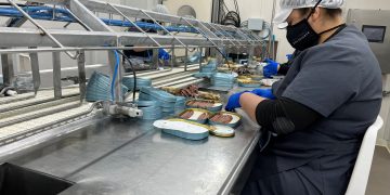 El Gobierno convoca ayudas para apoyar la labor de las cooperativas y asociaciones del sector pesquero y marisquero