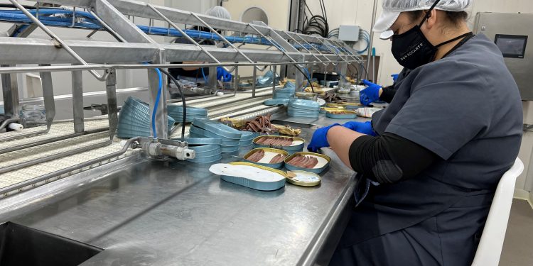 El Gobierno convoca ayudas para apoyar la labor de las cooperativas y asociaciones del sector pesquero y marisquero