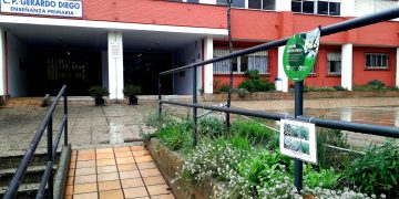 Santander Capital Natural repartirá árboles y arbustos para reverdecer los jardines y terrazas de la ciudad